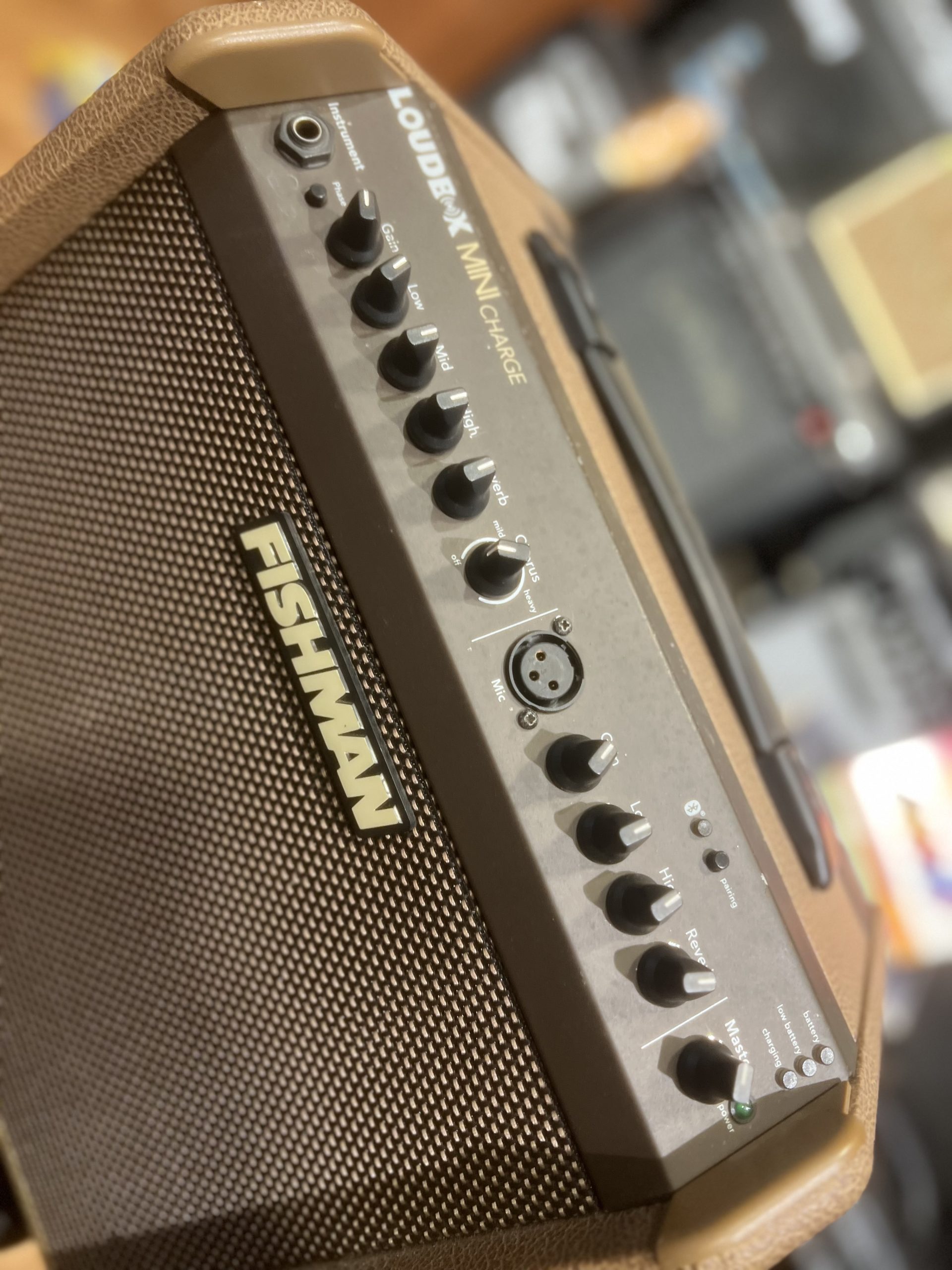 FISHMAN LOUDBOX MINI CHARGE ACOUSTIC GUITAR AMPLIFIER - Image 2