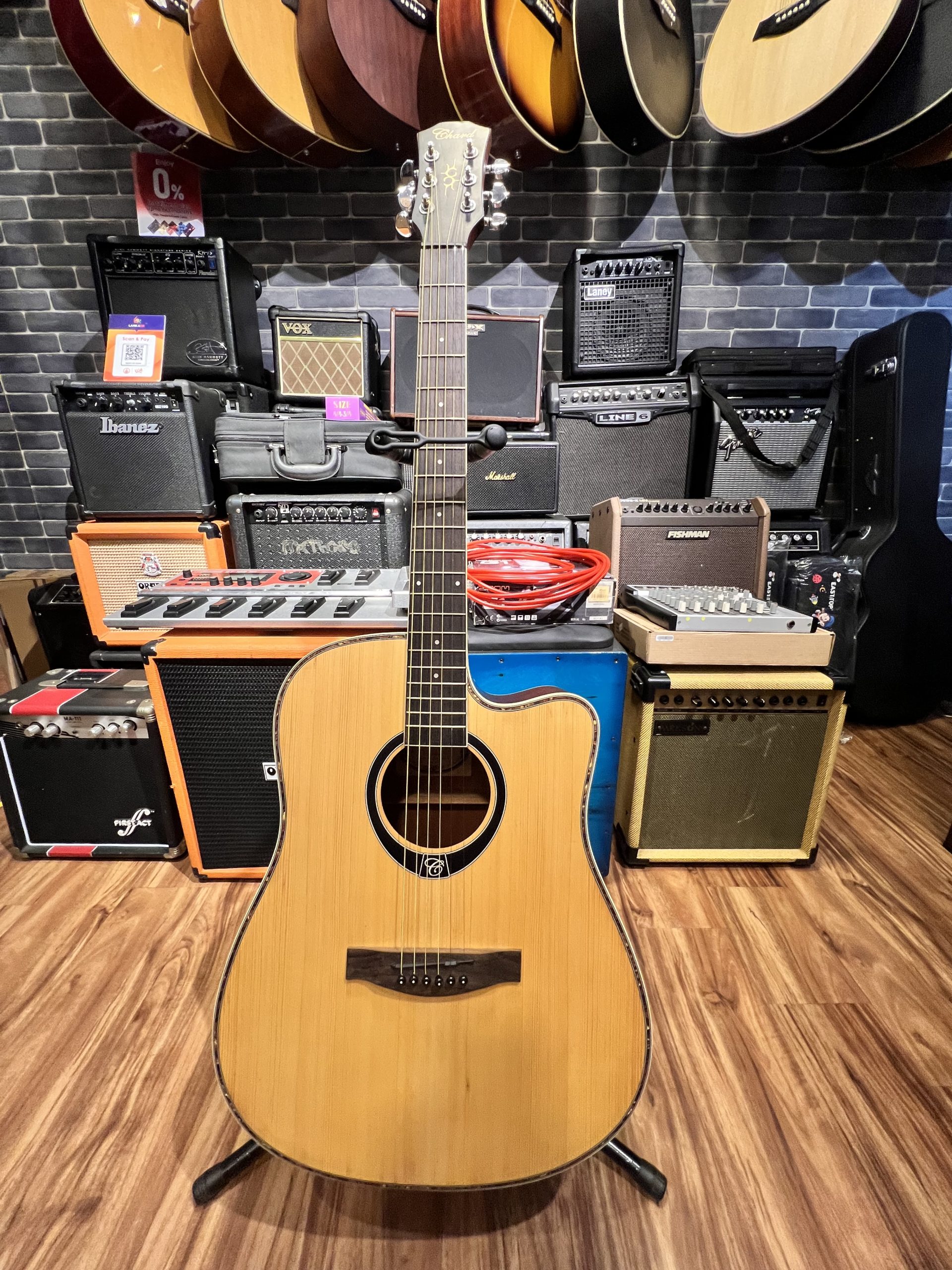 Chard Acoustic Electric Guitar