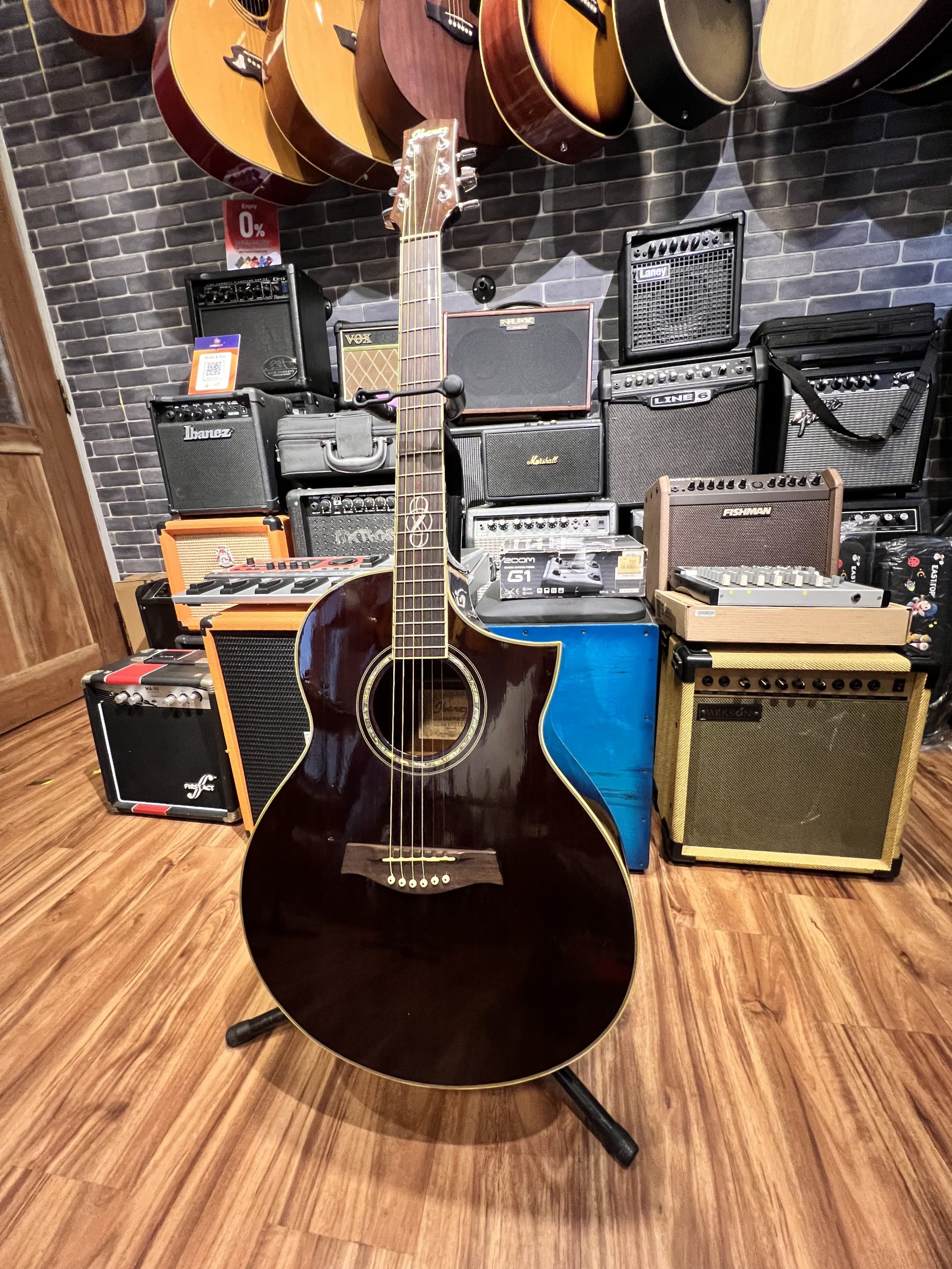 Ibanez EW2020 Acoustic Electric Guitar