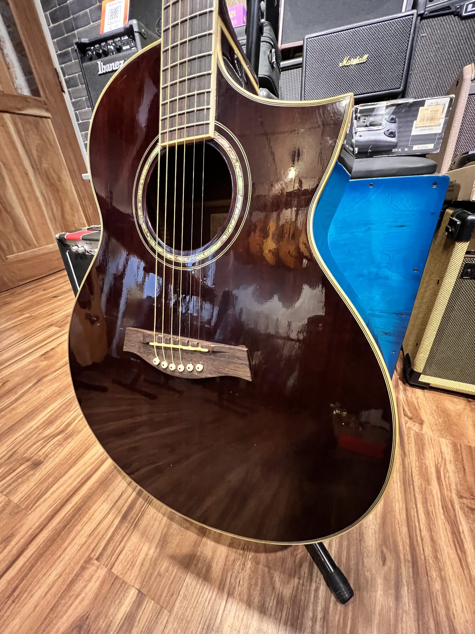 Ibanez EW2020 Acoustic Electric Guitar - Image 2