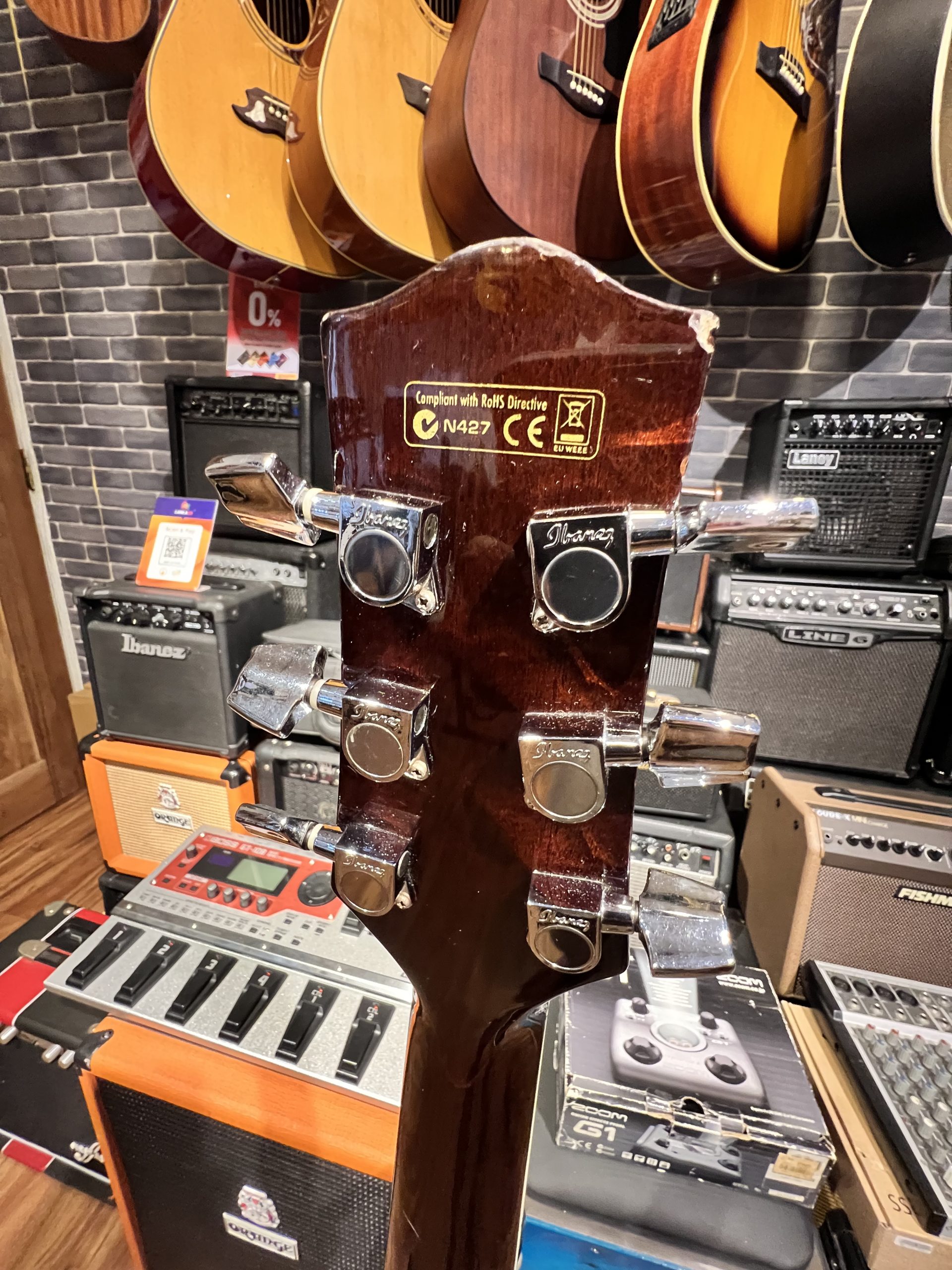 Ibanez EW2020 Acoustic Electric Guitar - Image 4