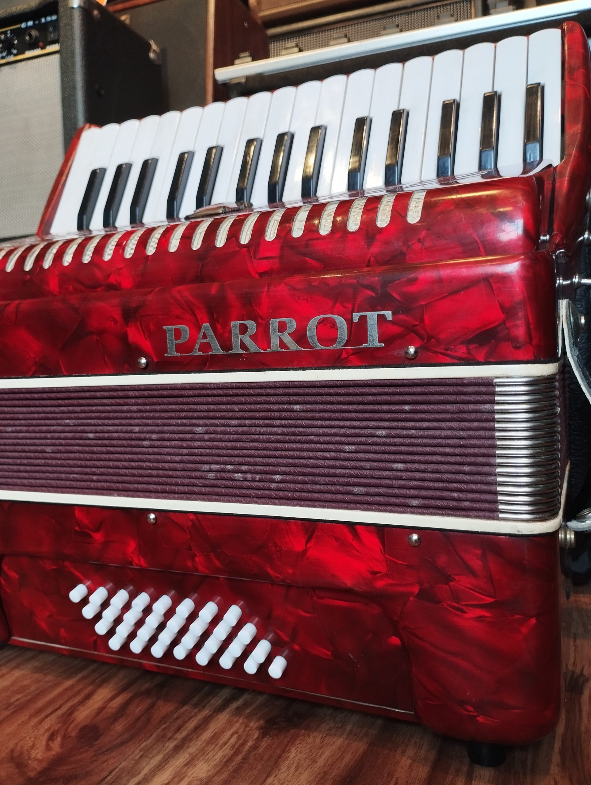 IMPORTED VINTAGE PARROT ACCORDION - Image 2