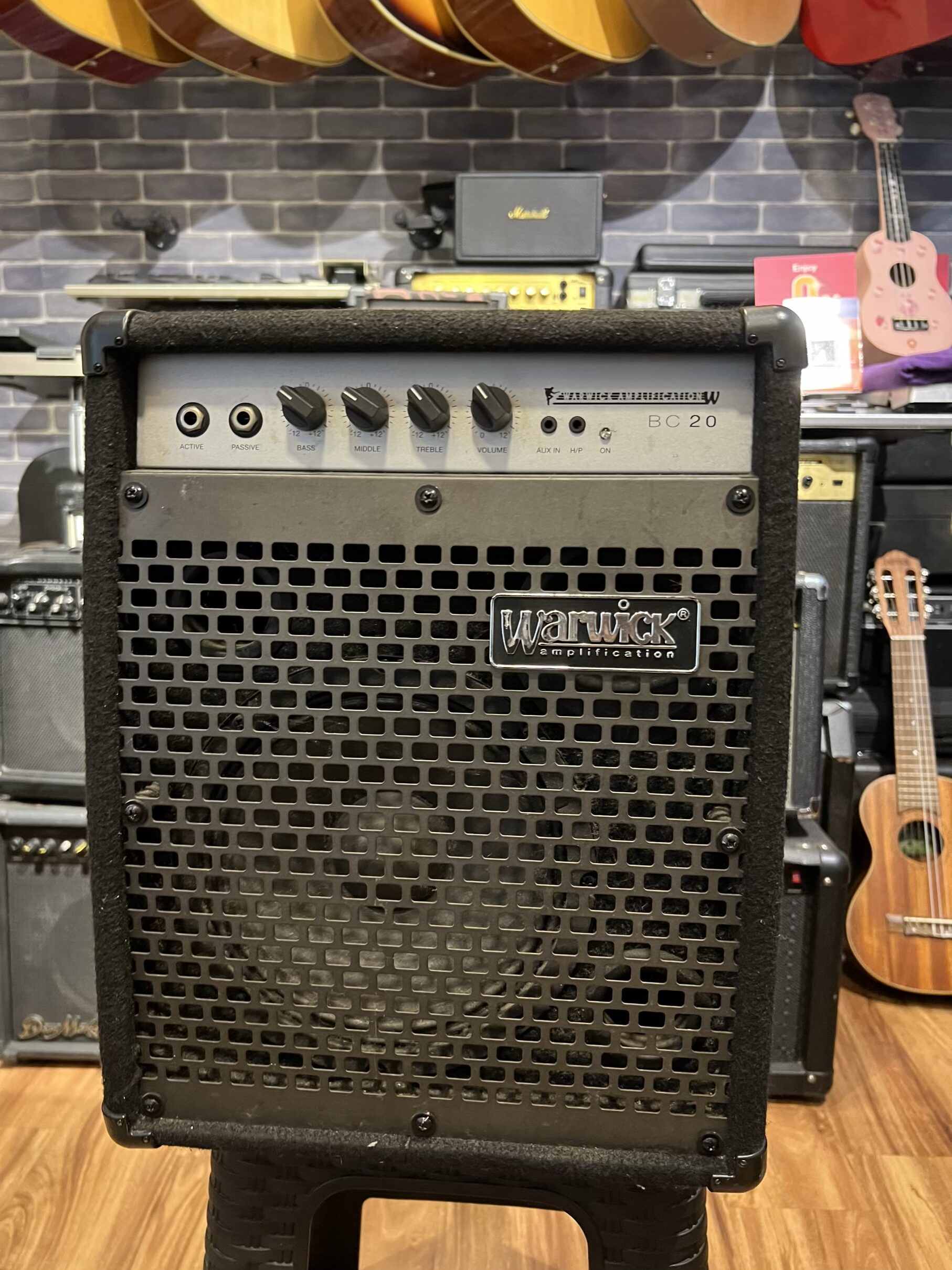 Warwick Bass Combo/ Amplifier