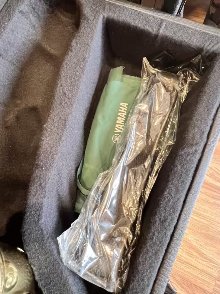 Imported Antigua Alto Saxophone - Image 2
