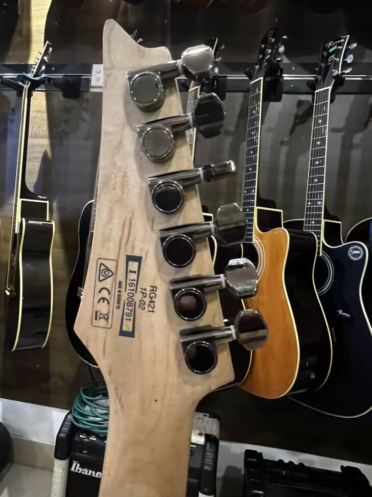 IBANEZ RG421 IP 02 ELECTRIC GUITAR - Image 3