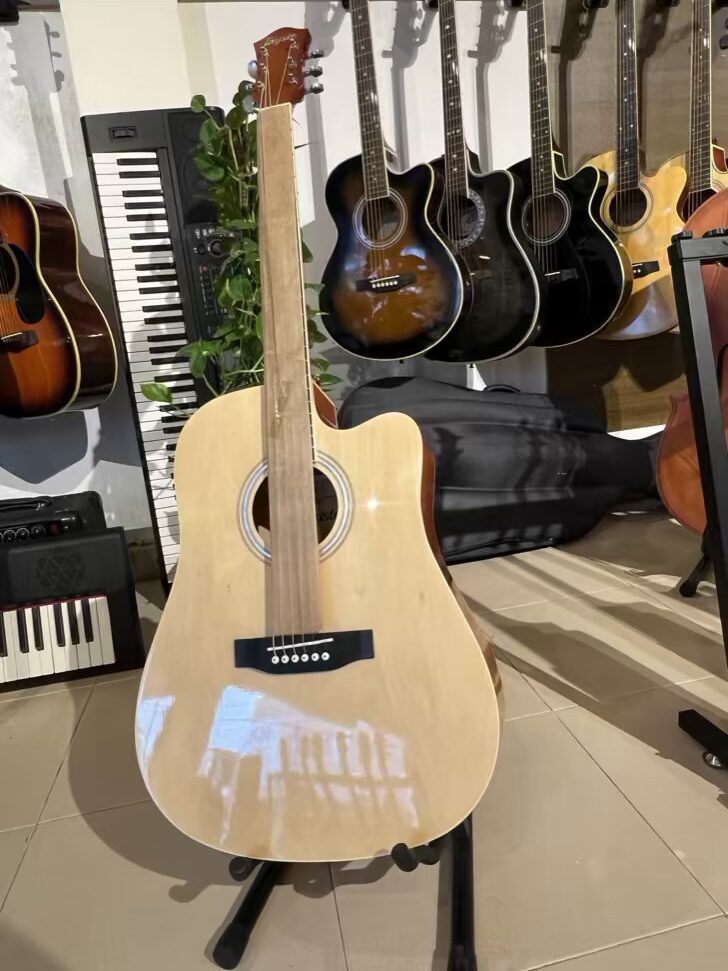Tayste Brand New Acoustic Guitar