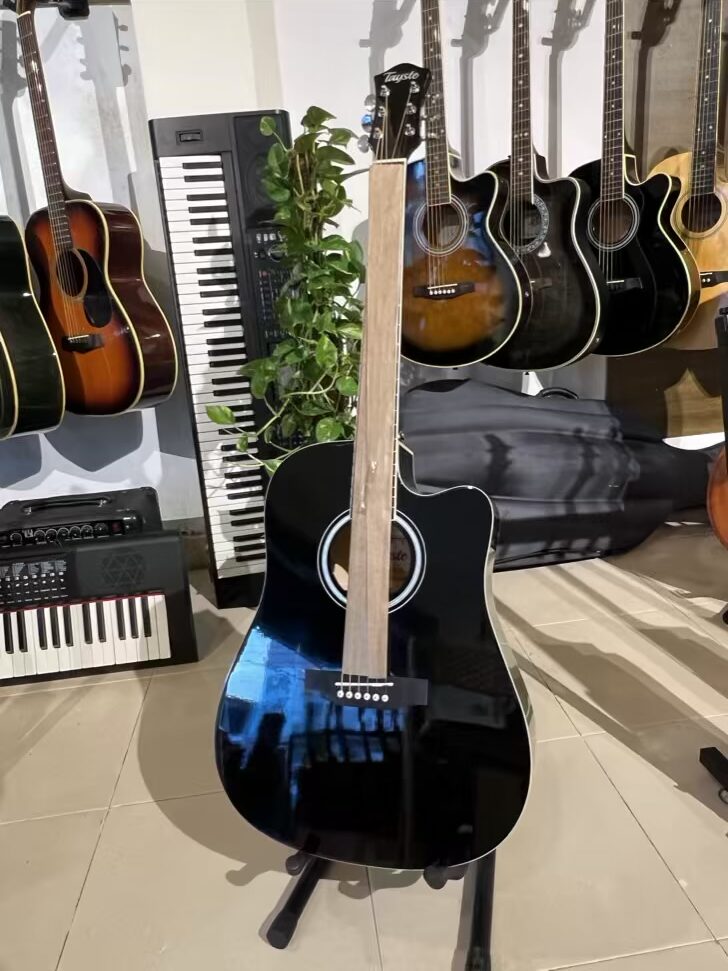 Tasety Brand New Acoustic Guitar