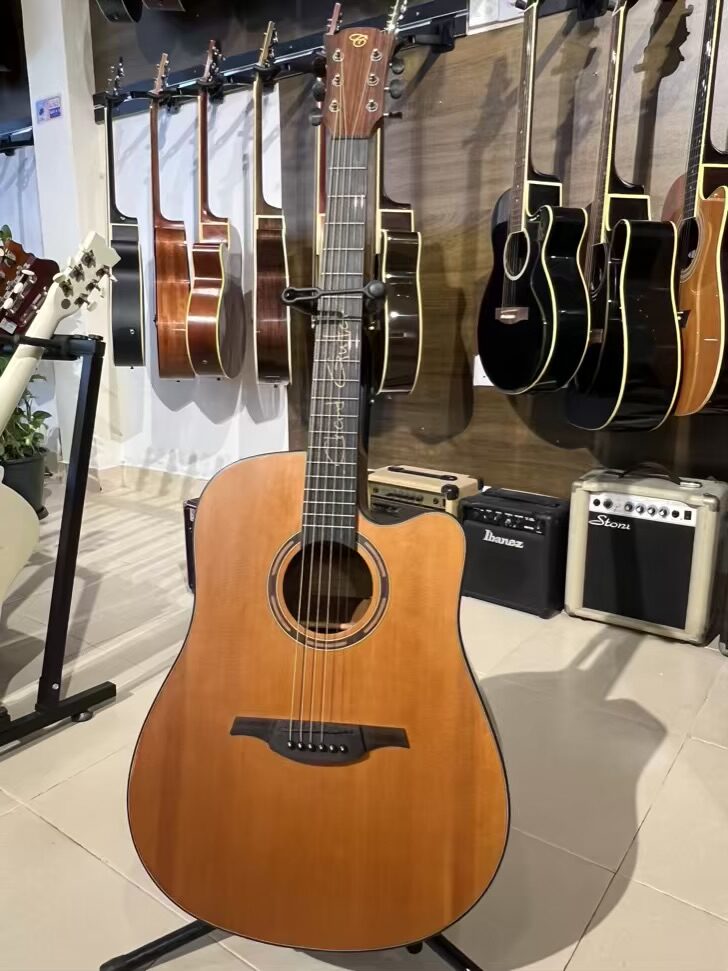 Chard Solid Acoustic Electric Guitar