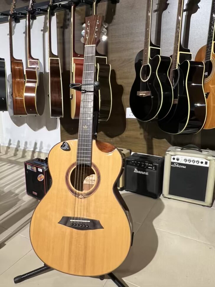 Five Fully Solid Acoustic Electric Guitar