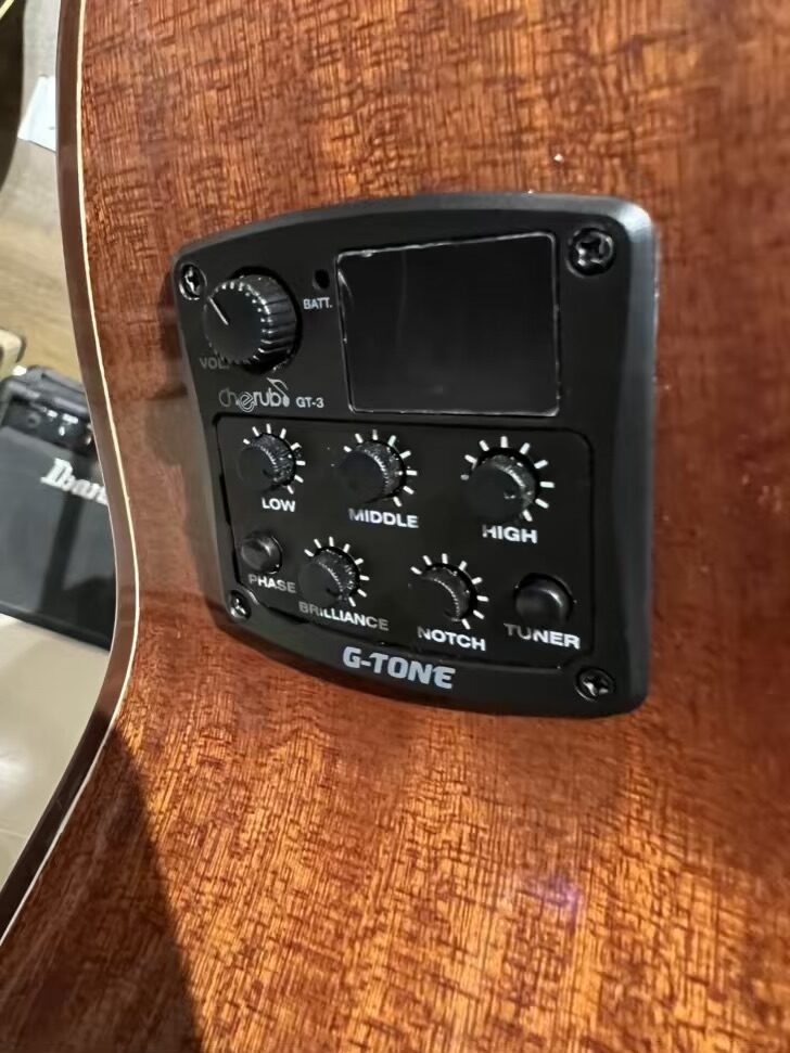 Five Fully Solid Acoustic Electric Guitar - Image 3