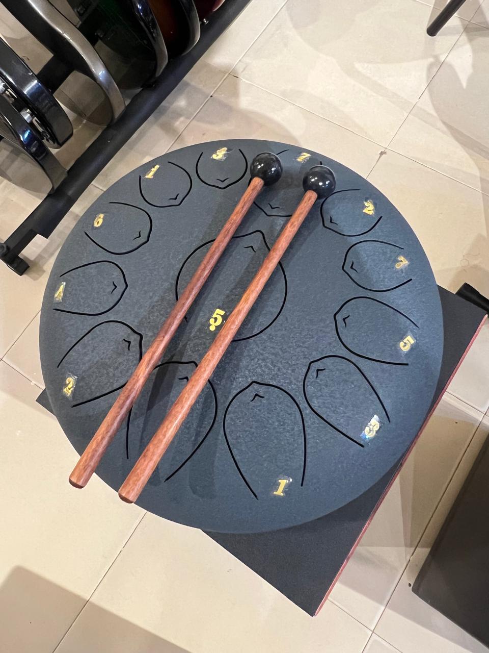 Steel Tongue Drum