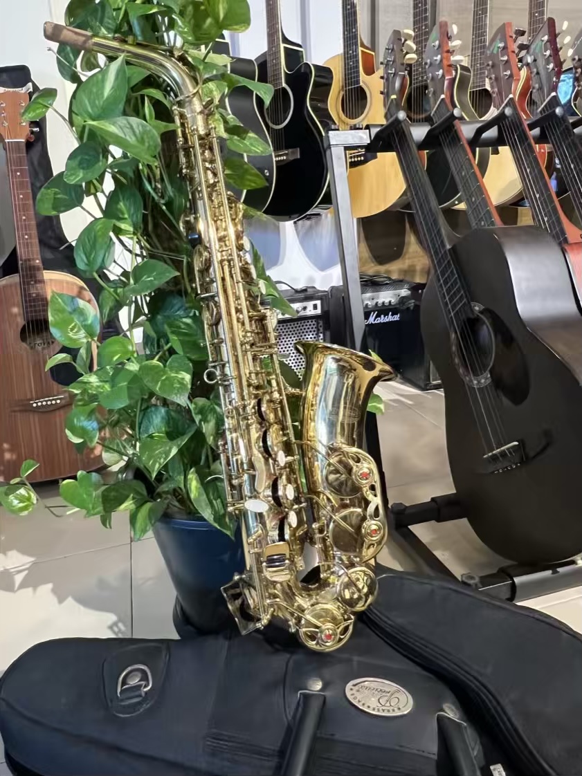 Imported Aves Alto Saxophone - Image 2