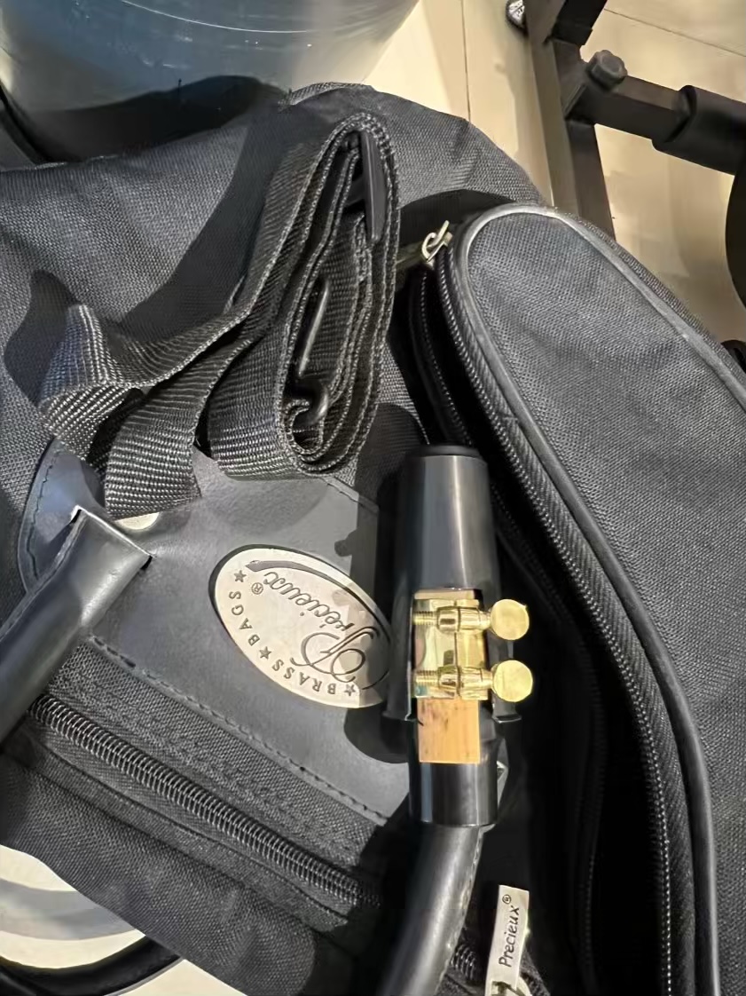 Imported Aves Alto Saxophone