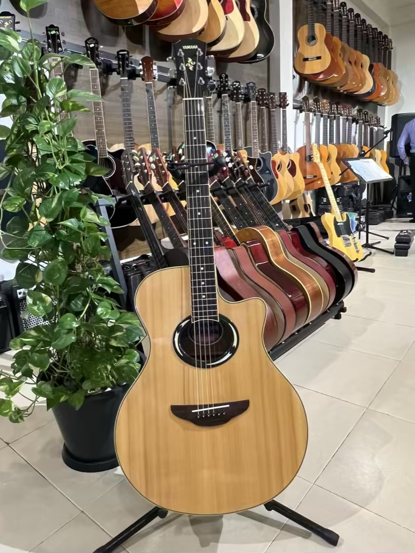 YAMAHA APX 500 II Acoustic Electric Guitar - Image 2