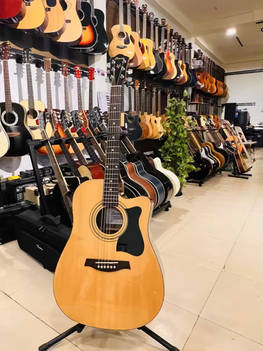 Ibanez Acoustic Electric Guitar