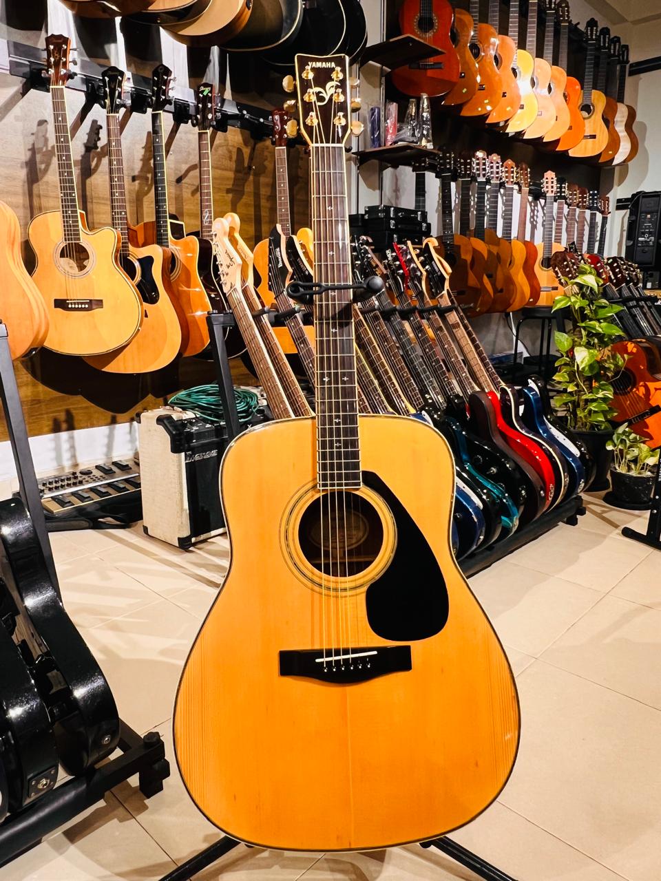 Yamaha FG-461S Acoustic Guitar
