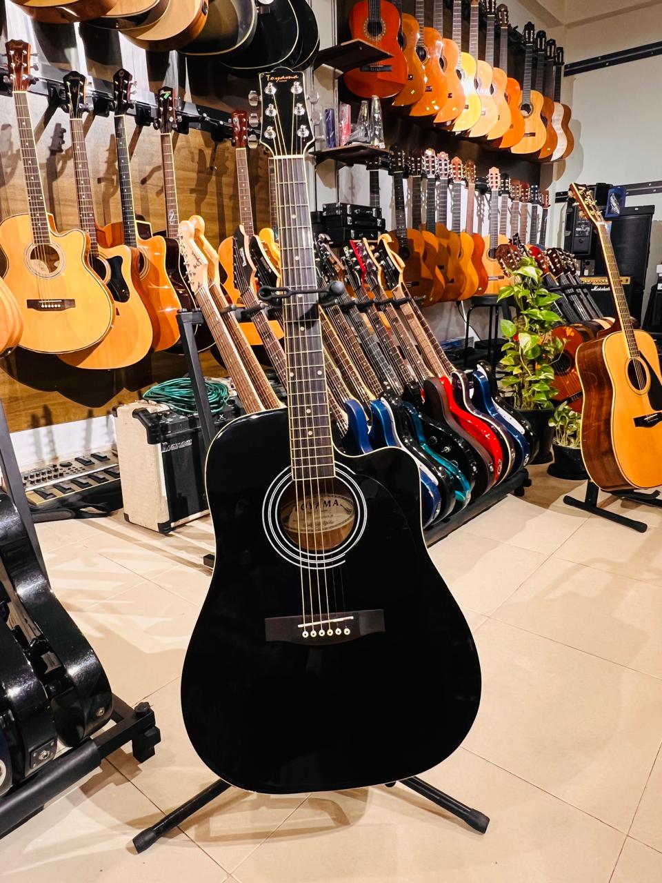 TOYAMA SEMI ACOUSTIIC GUITAR
